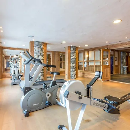 Standing, Spa, Piscine, Pied De Pistes, 8 Personnes, St-martin-de-belleville - Fr-1-461-26 Apartment *